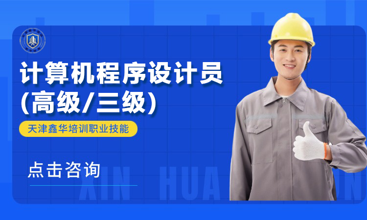 计算机程序设计员 (高级/三级)